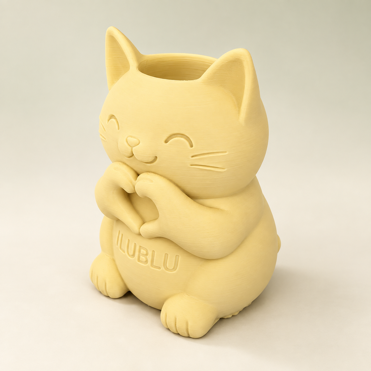 Mimo · Gato con corazón · fotografía de estudio 23